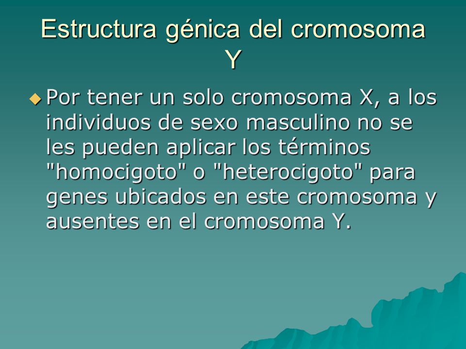 Estructura génica del cromosoma Y