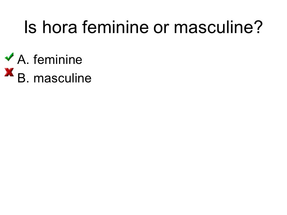 Is hora feminine or masculine