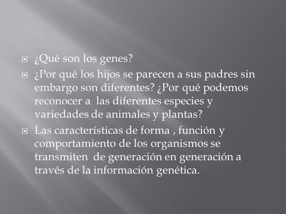 ¿Qué son los genes