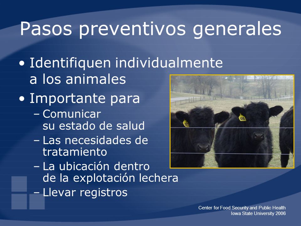 Pasos preventivos generales