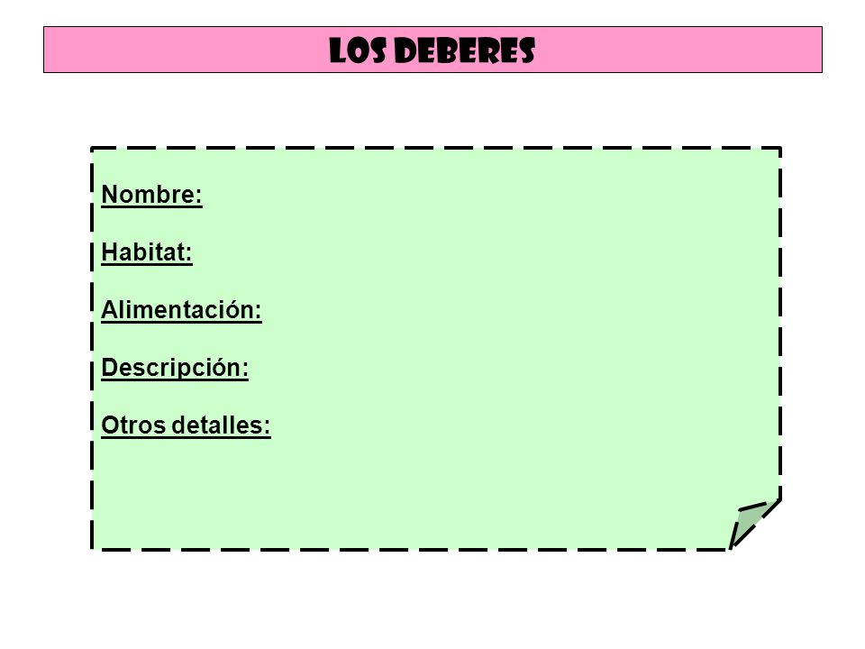 Los deberes Nombre: Habitat: Alimentación: Descripción:
