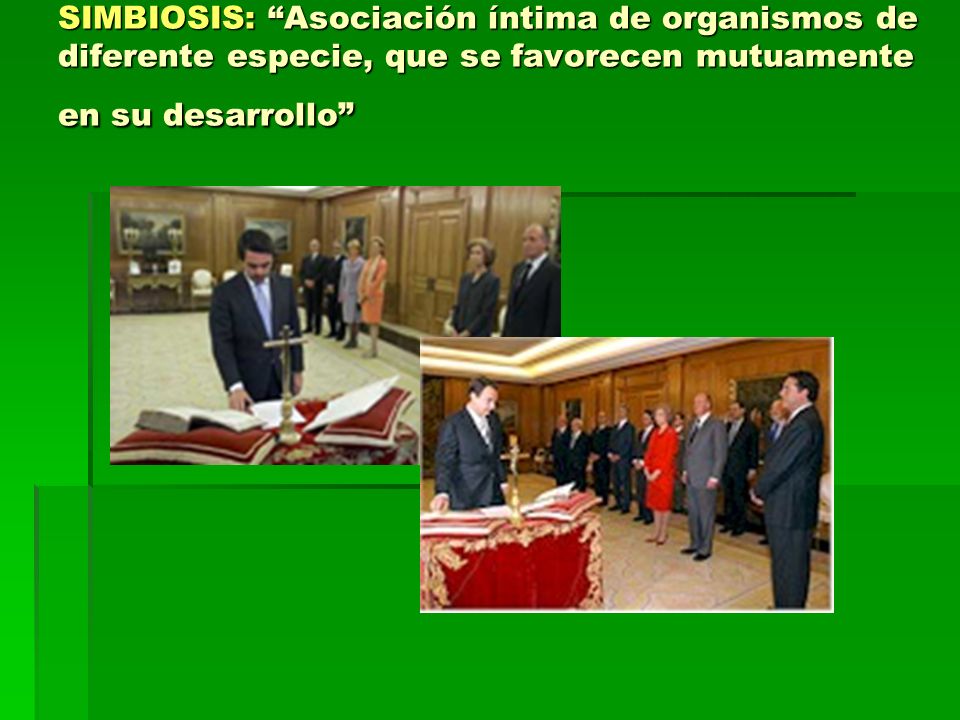 SIMBIOSIS: Asociación íntima de organismos de diferente especie, que se favorecen mutuamente en su desarrollo