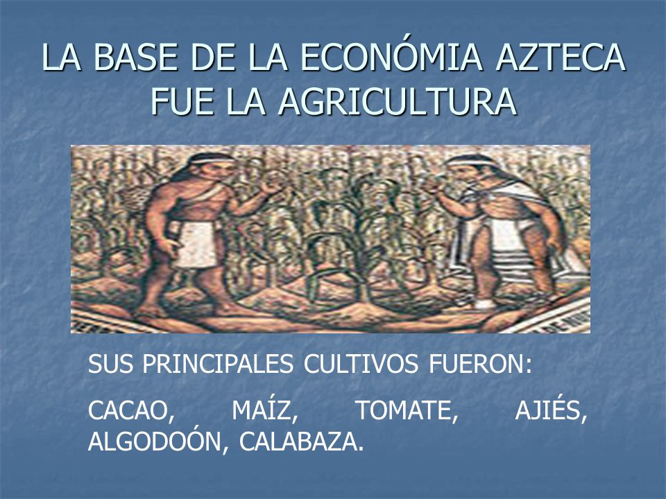 LA BASE DE LA ECONÓMIA AZTECA FUE LA AGRICULTURA