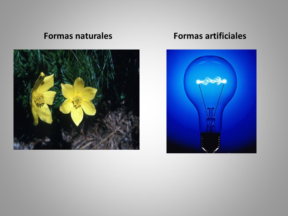 Formas artificiales Formas naturales