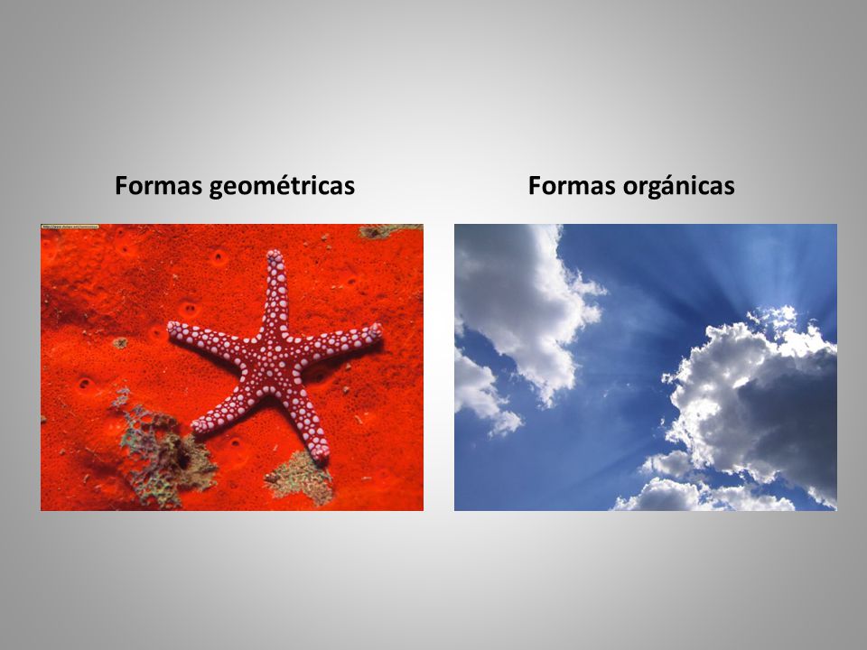Formas geométricas Formas orgánicas