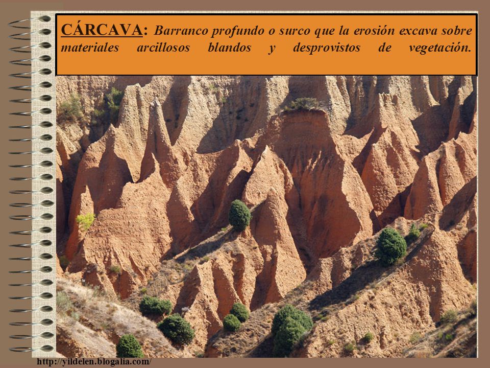 CÁRCAVA: Barranco profundo o surco que la erosión excava sobre materiales arcillosos blandos y desprovistos de vegetación.