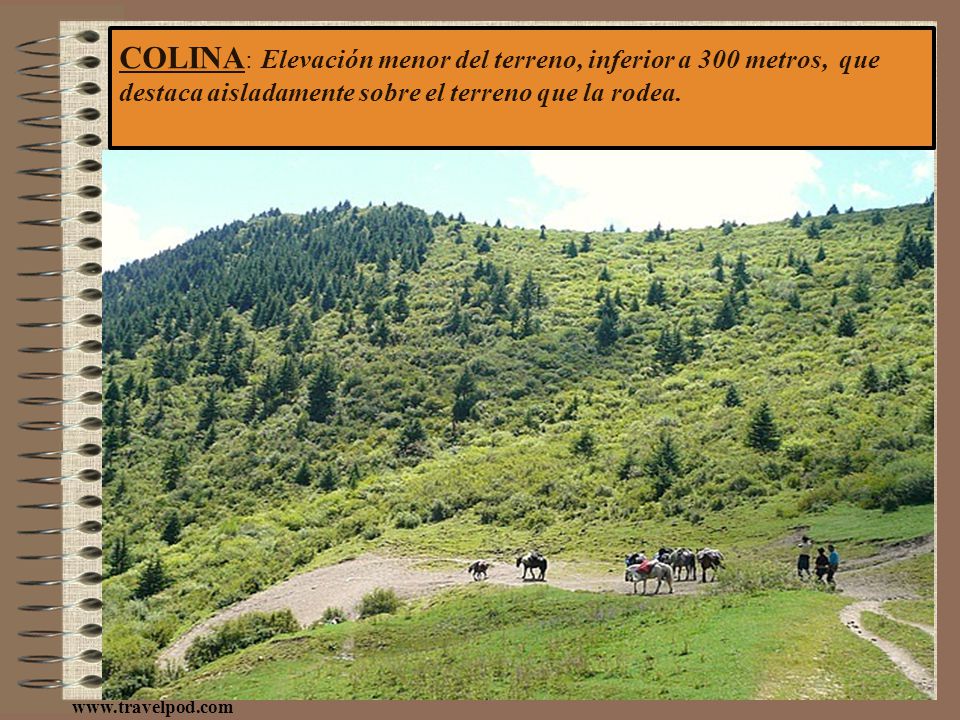 COLINA: Elevación menor del terreno, inferior a 300 metros, que destaca aisladamente sobre el terreno que la rodea.