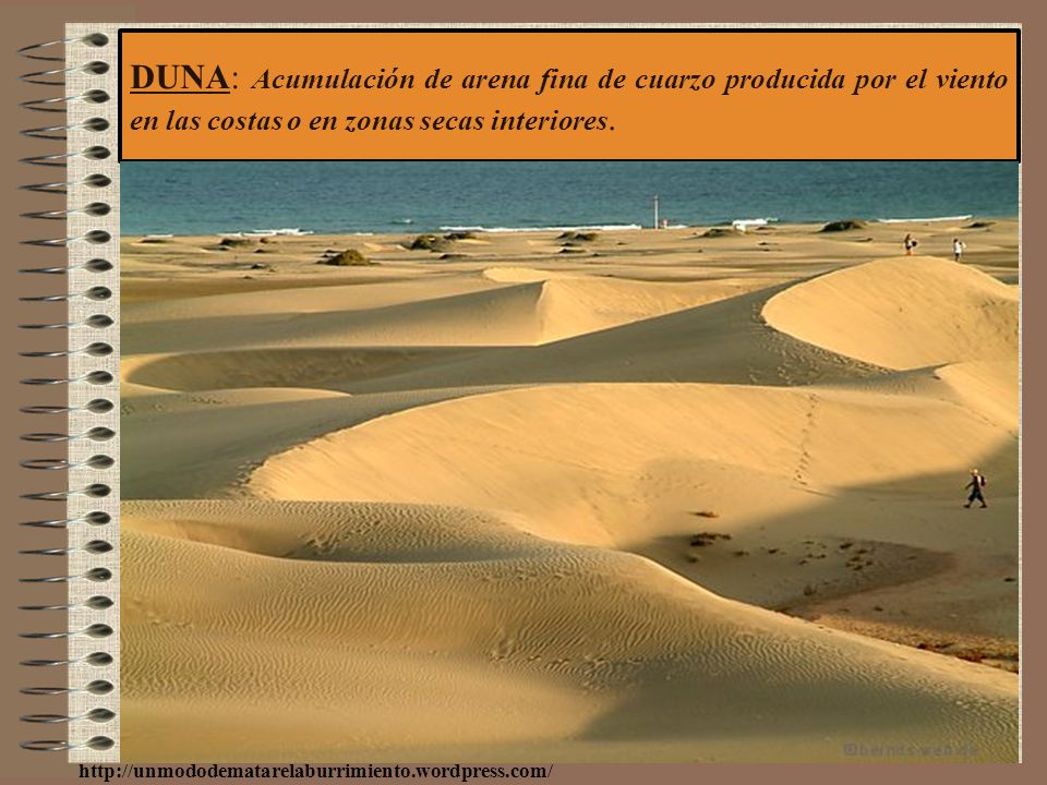 DUNA: Acumulación de arena fina de cuarzo producida por el viento en las costas o en zonas secas interiores.
