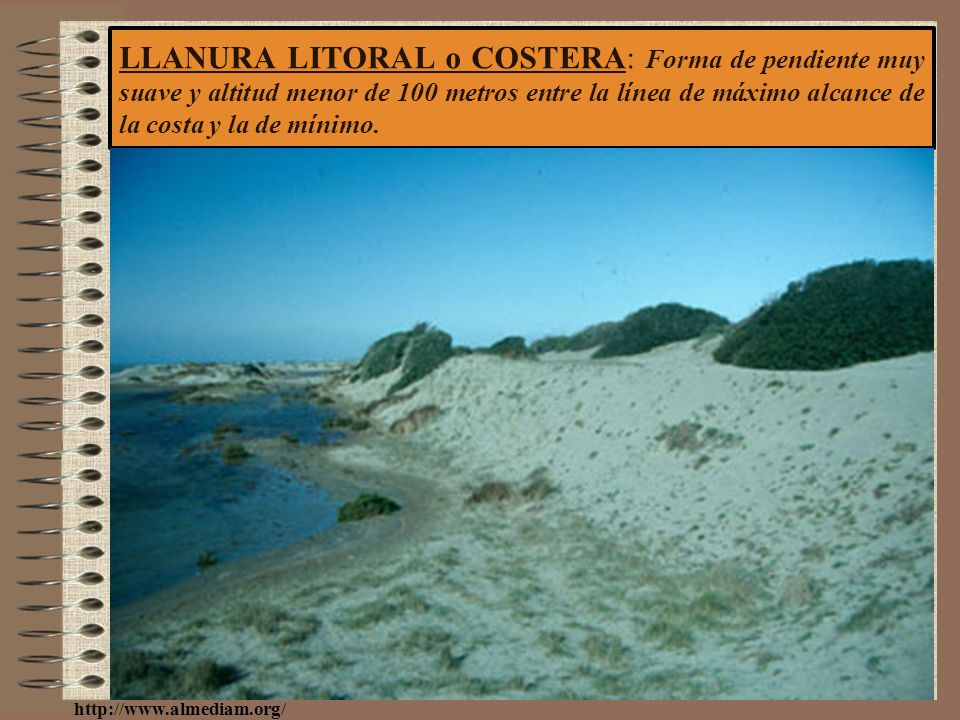LLANURA LITORAL o COSTERA: Forma de pendiente muy suave y altitud menor de 100 metros entre la línea de máximo alcance de la costa y la de mínimo.