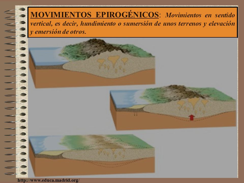 MOVIMIENTOS EPIROGÉNICOS: Movimientos en sentido vertical, es decir, hundimiento o sumersión de unos terrenos y elevación y emersión de otros.