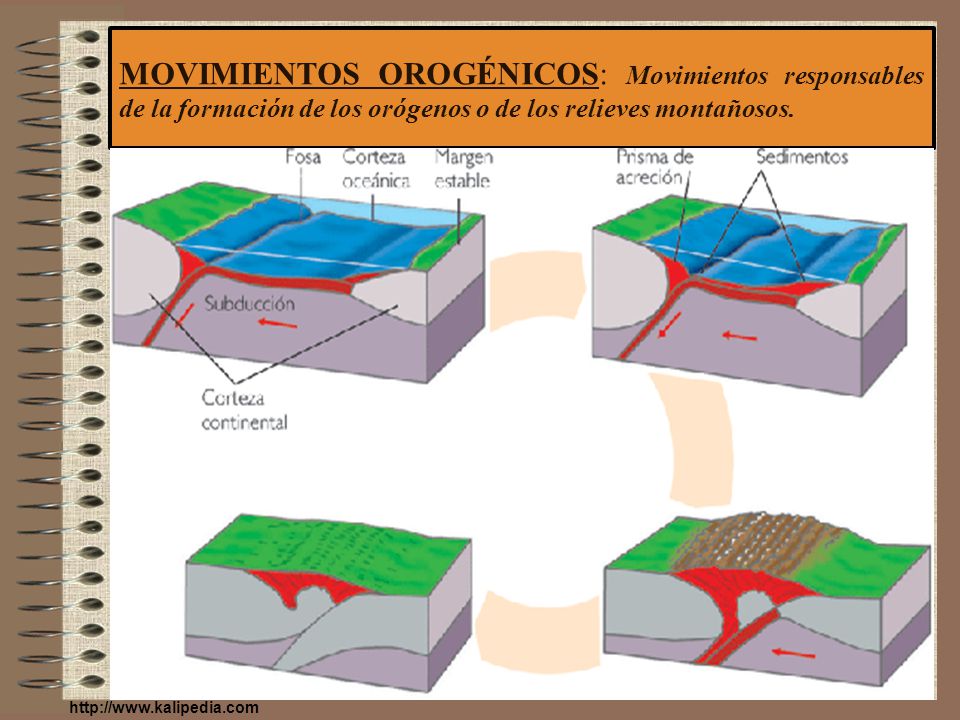 MOVIMIENTOS OROGÉNICOS: Movimientos responsables de la formación de los orógenos o de los relieves montañosos.