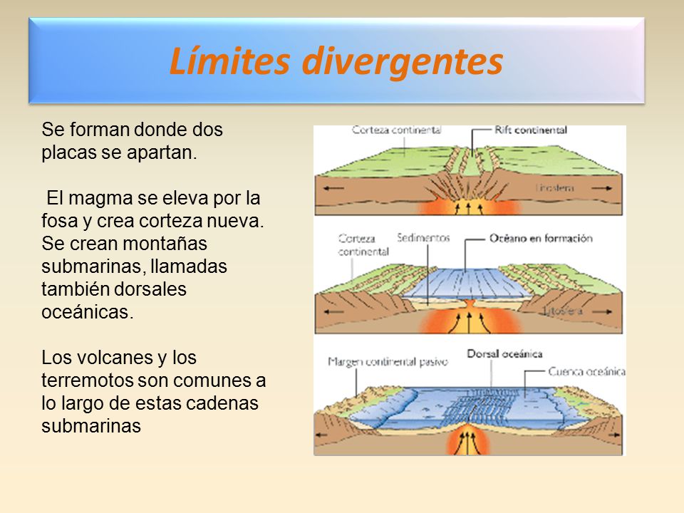 Límites divergentes Se forman donde dos placas se apartan.