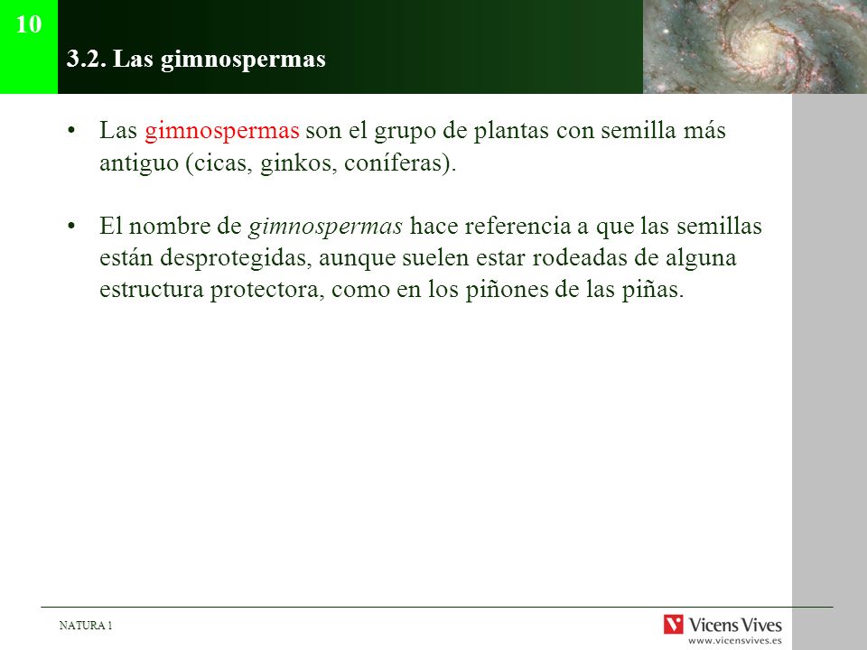 Las gimnospermas. Las gimnospermas son el grupo de plantas con semilla más antiguo (cicas, ginkos, coníferas).