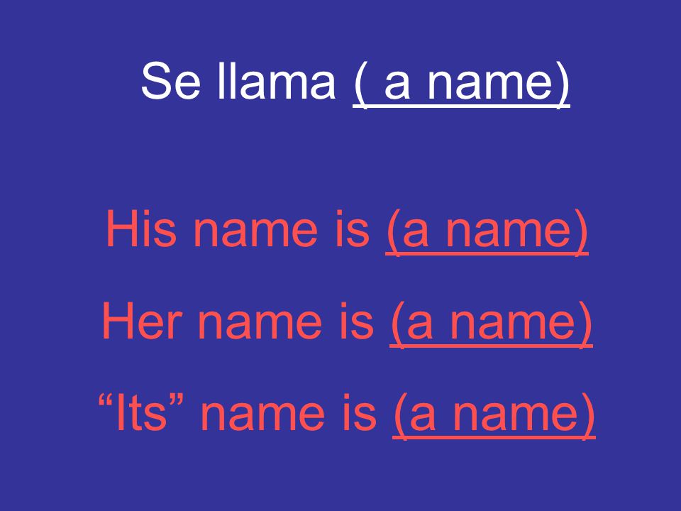 Se llama ( a name) His name is (a name) Her name is (a name) Its name is (a name)