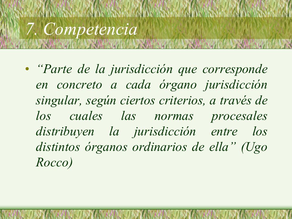 7. Competencia