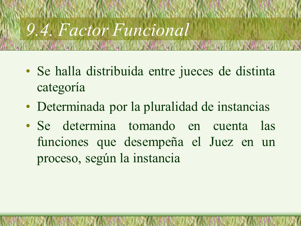 9.4. Factor Funcional Se halla distribuida entre jueces de distinta categoría. Determinada por la pluralidad de instancias.