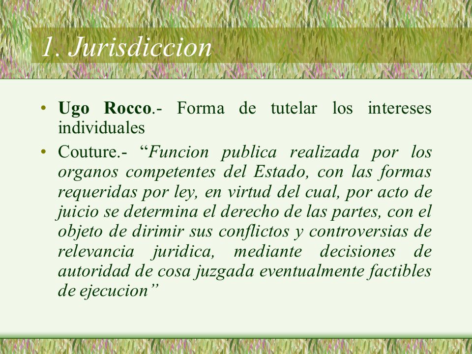 1. Jurisdiccion Ugo Rocco.- Forma de tutelar los intereses individuales.