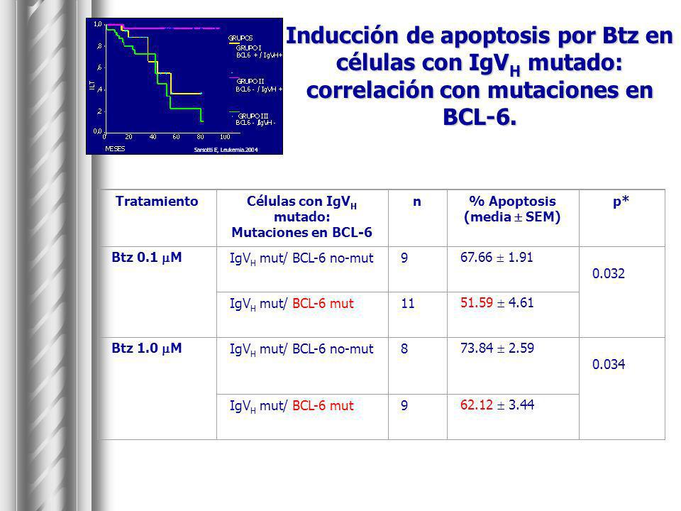 Inducción de apoptosis por Btz en células con IgVH mutado: correlación con mutaciones en BCL-6.