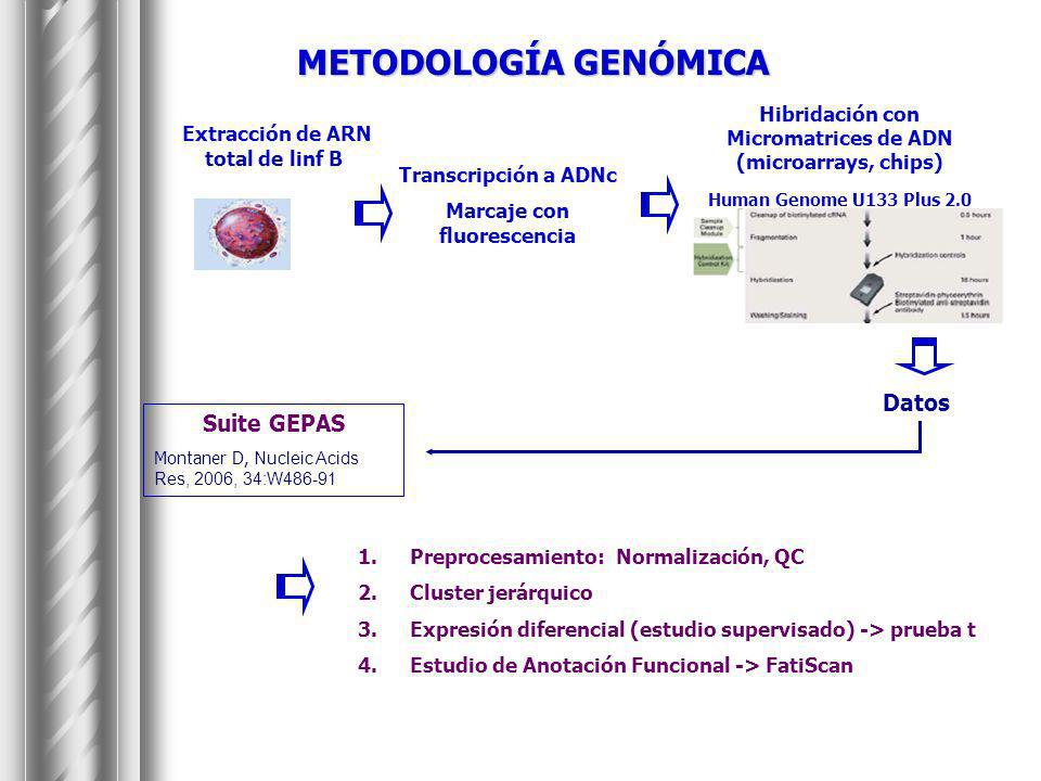 METODOLOGÍA GENÓMICA Extracción de ARN total de linf B Datos