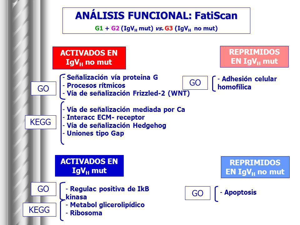 ANÁLISIS FUNCIONAL: FatiScan G1 + G2 (IgVH mut) vs. G3 (IgVH no mut)