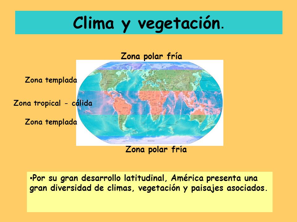 Clima y vegetación. Zona polar fría Zona polar fría