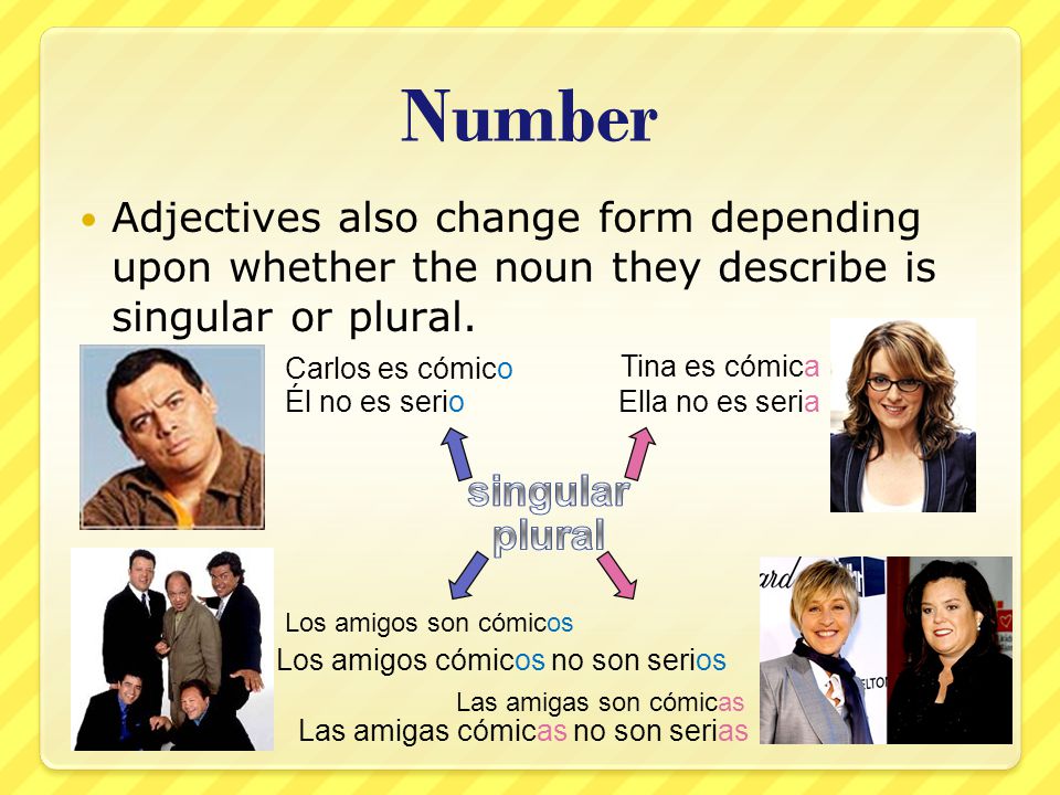 Number Adjectives also change form depending upon whether the noun they describe is singular or plural.
