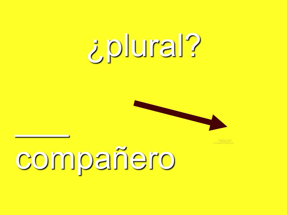 ¿plural ___ compañero