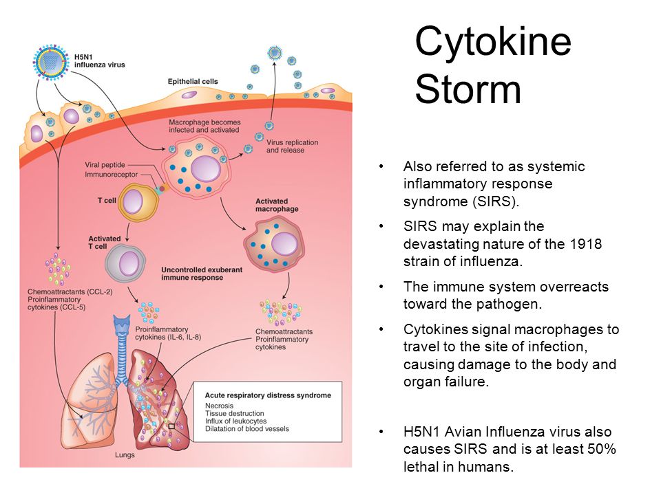 Cytokine Storm Also referred to as systemic inflammatory response syndrome (SIRS).
