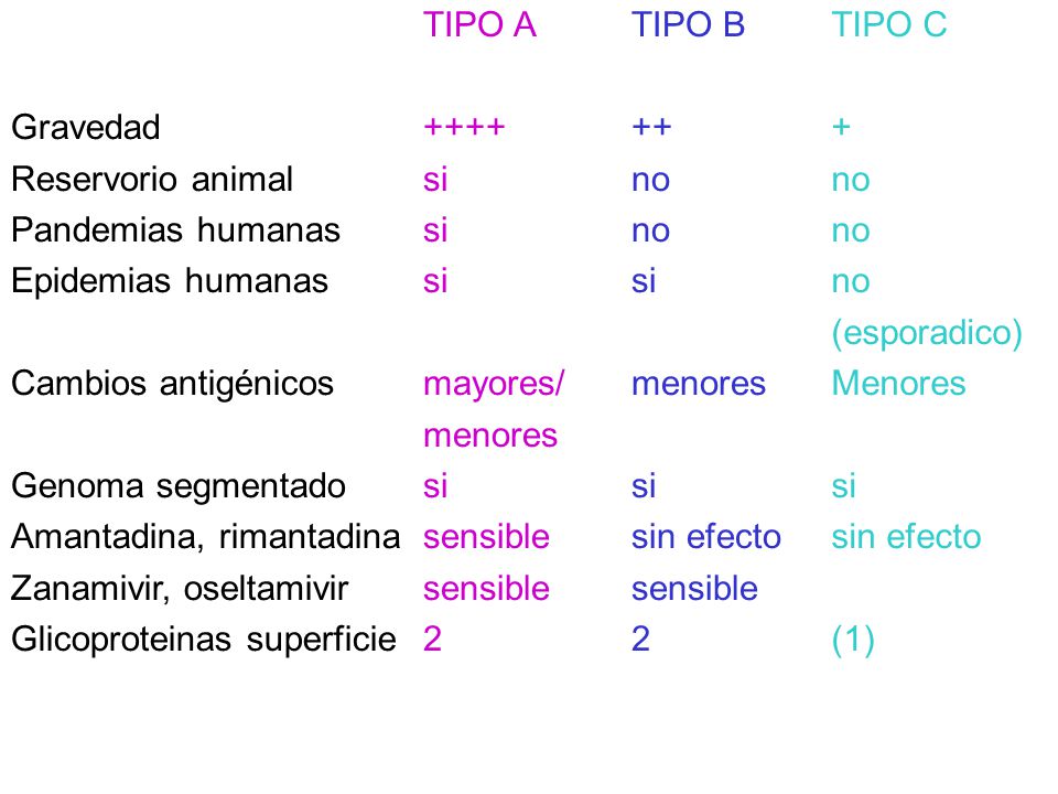 TIPO A ++++ si. mayores/ menores. sensible. 2. Gravedad. Reservorio animal. Pandemias humanas.