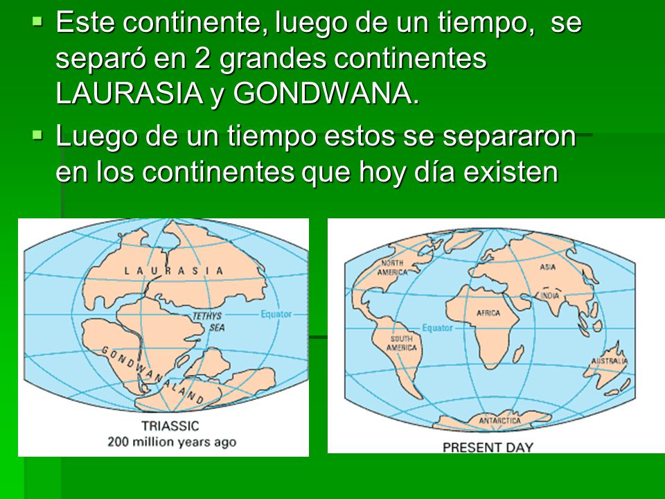 Este continente, luego de un tiempo, se separó en 2 grandes continentes LAURASIA y GONDWANA.