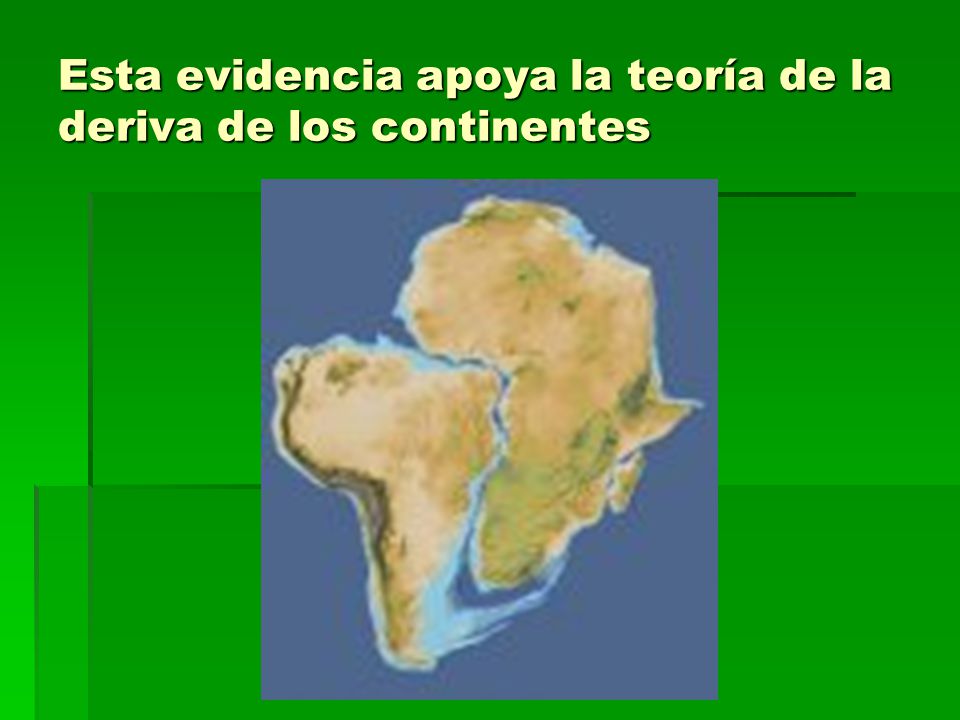 Esta evidencia apoya la teoría de la deriva de los continentes