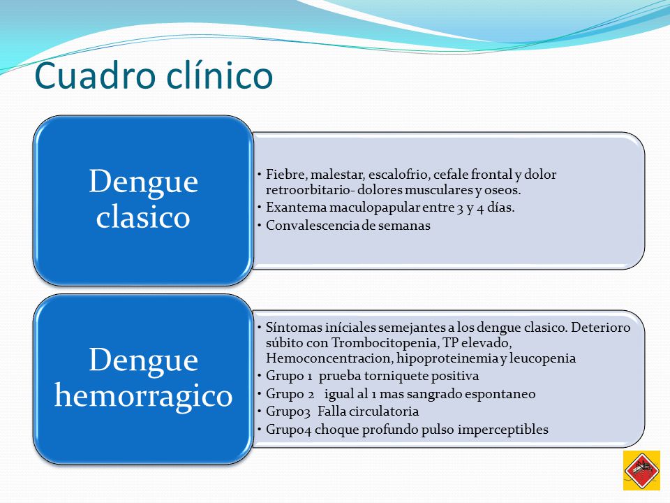 cuadro cl nico dengue carla aramayo rios ppt descargar cuadro cl nico dengue carla aramayo rios ppt descargar