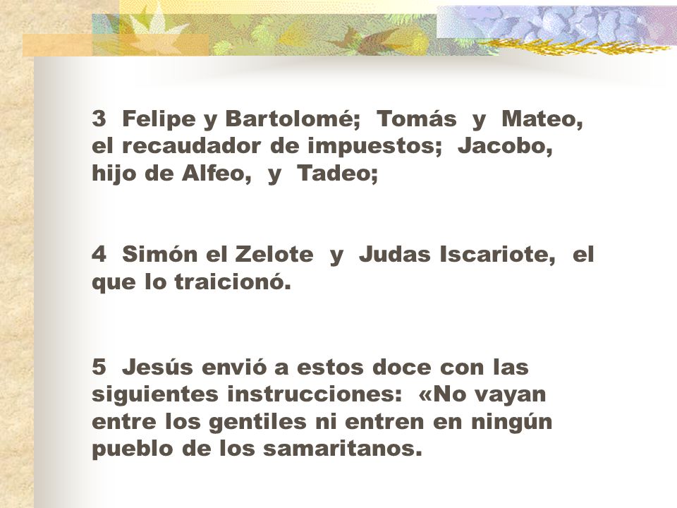 3 Felipe y Bartolomé; Tomás y Mateo, el recaudador de impuestos; Jacobo, hijo de Alfeo, y Tadeo;