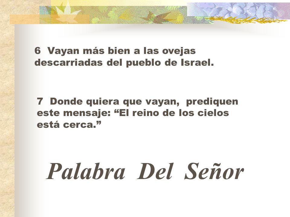 6 Vayan más bien a las ovejas descarriadas del pueblo de Israel.