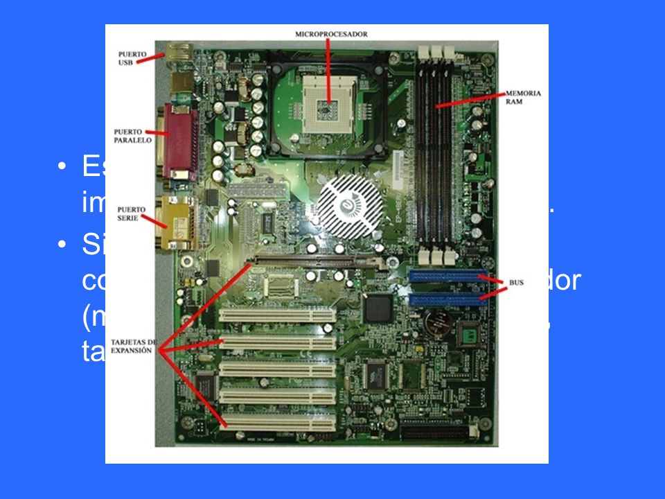 Placa base Es una tarjeta formada por circuitos impresos que va unida a la carcasa.