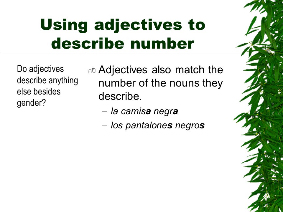 Using adjectives to describe number