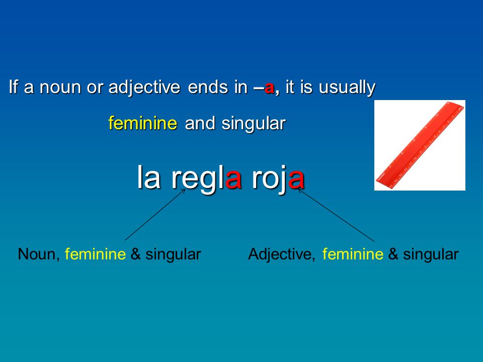 If a noun or adjective ends in –a, it is usually feminine and singular