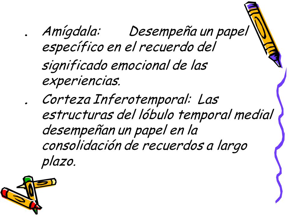 . Amígdala: Desempeña un papel específico en el recuerdo del