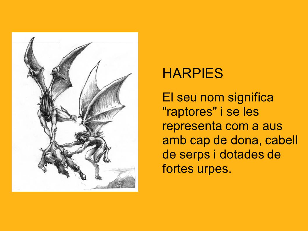 HARPIES El seu nom significa raptores i se les representa com a aus amb cap de dona, cabell de serps i dotades de fortes urpes.