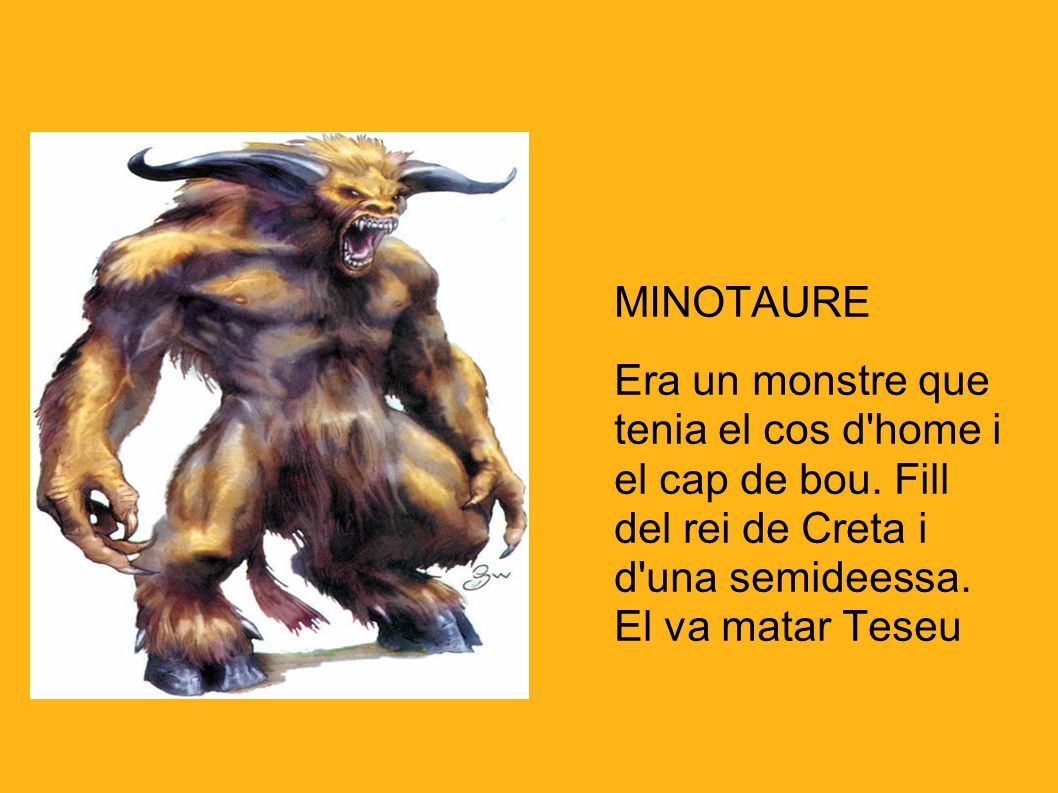 MINOTAURE Era un monstre que tenia el cos d home i el cap de bou.