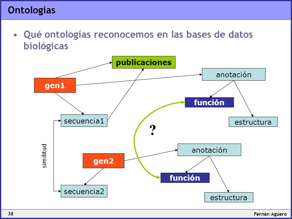 Ontologías Qué ontologías reconocemos en las bases de datos biológicas. gen1. secuencia1. publicaciones.