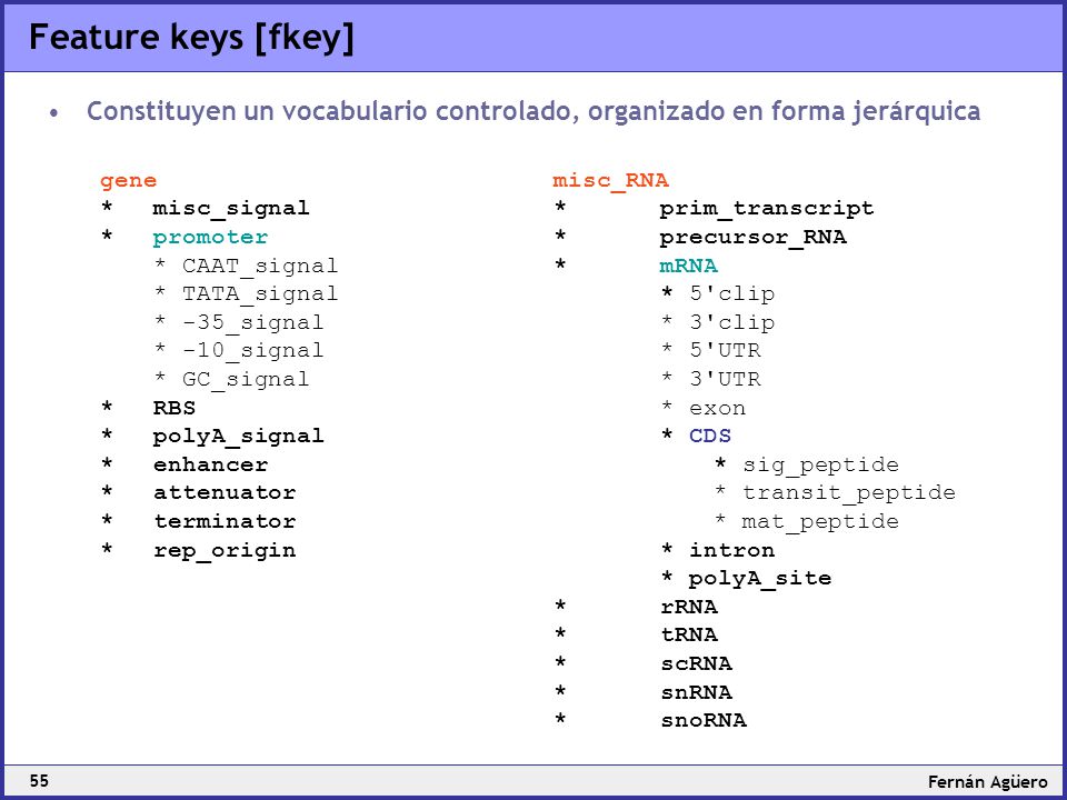 Feature keys [fkey] Constituyen un vocabulario controlado, organizado en forma jerárquica. gene. * misc_signal.