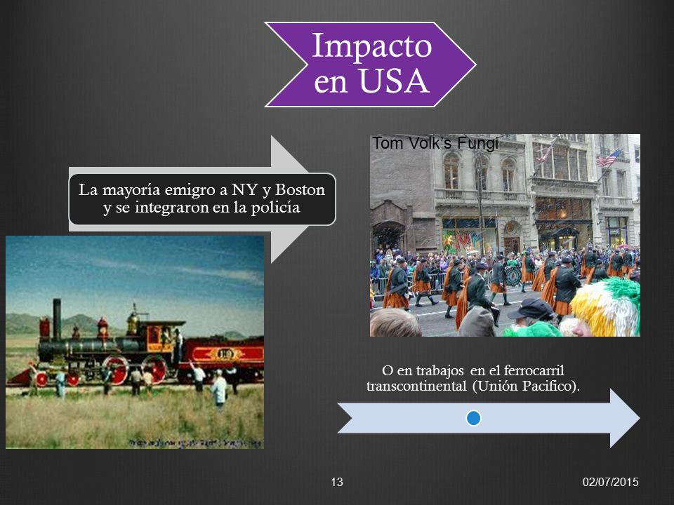 La mayoría emigro a NY y Boston y se integraron en la policía