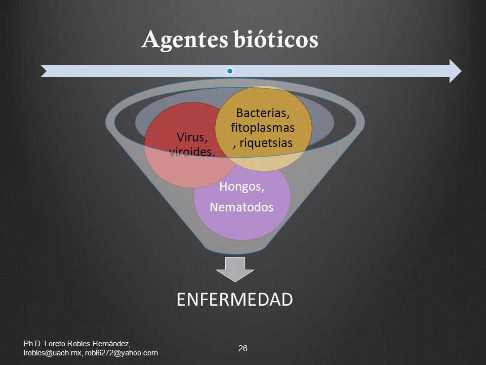 Maestría en Ciencias de la Productividad Frutícola, FACIATEC, UACH