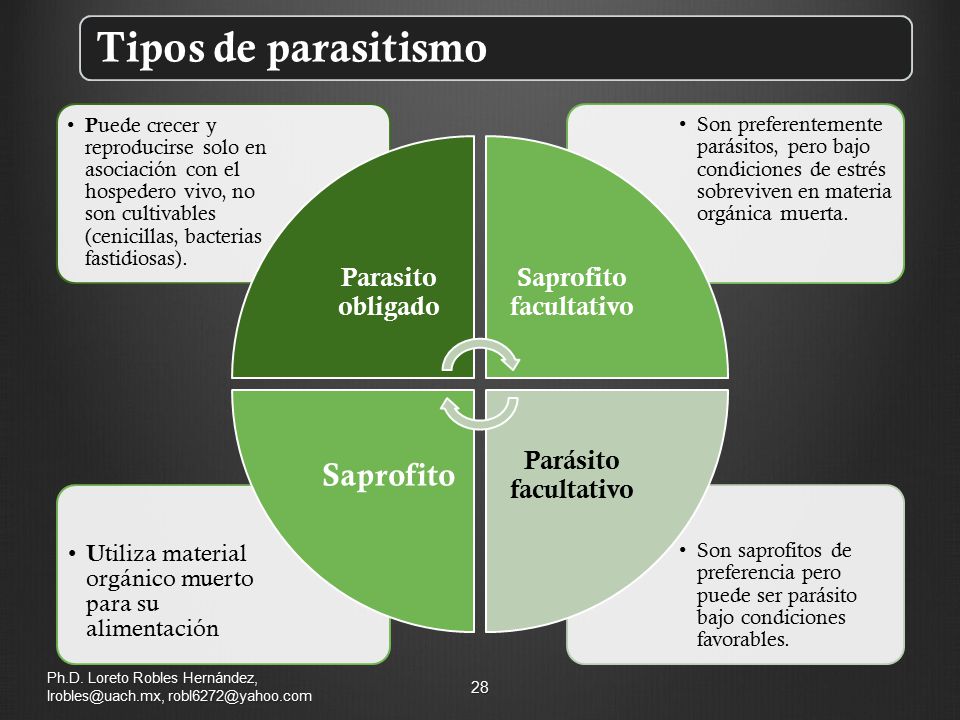 Maestría en Ciencias de la Productividad Frutícola, FACIATEC, UACH