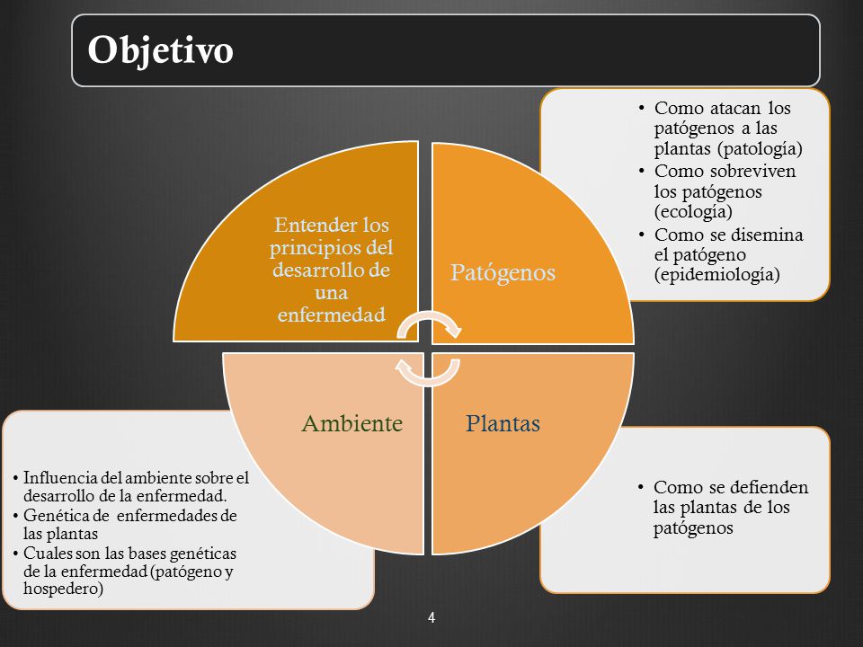 Maestría en Ciencias de la Productividad Frutícola, FACIATEC, UACH