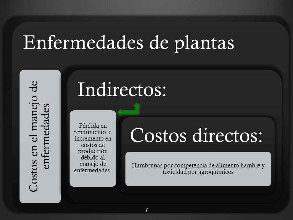 Maestría en Ciencias de la Productividad Frutícola, FACIATEC, UACH