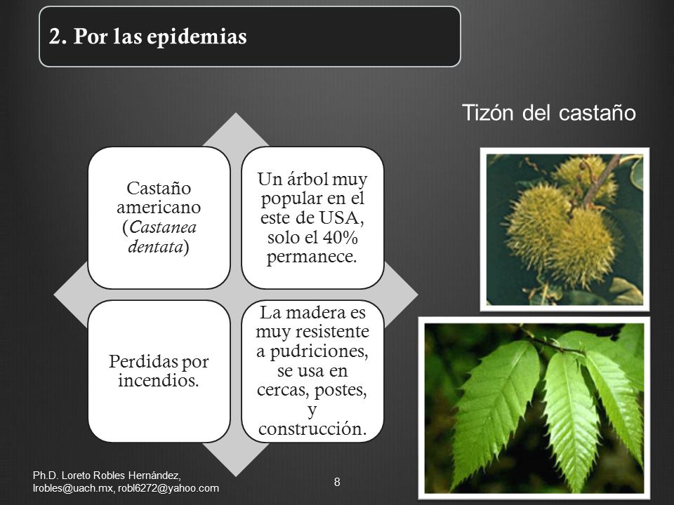 Maestría en Ciencias de la Productividad Frutícola, FACIATEC, UACH
