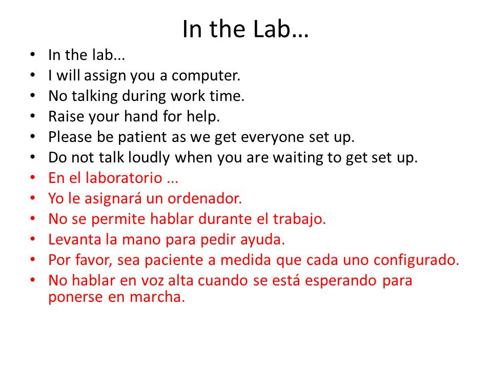 In the Lab… In the lab... I will assign you a computer.