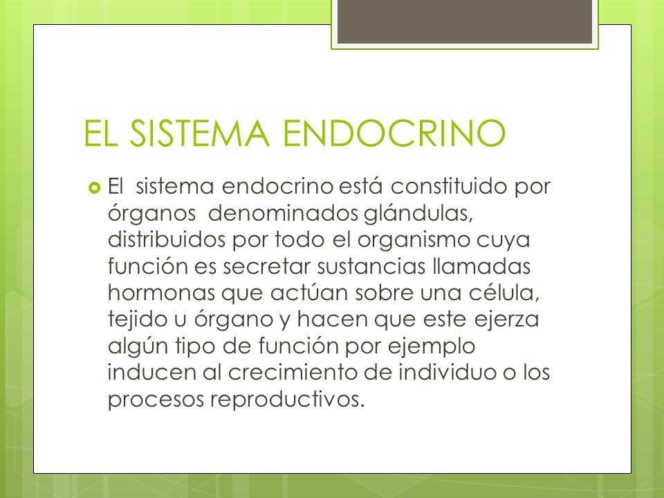 Ejemplos De Glandulas Endocrinas Y Exocrinas